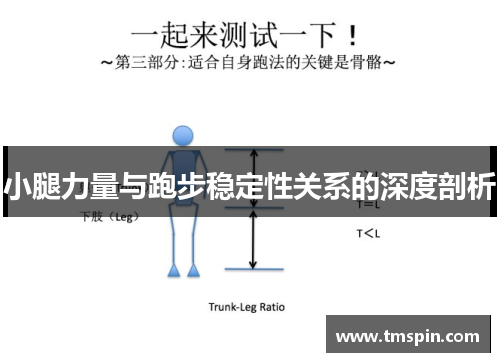 小腿力量与跑步稳定性关系的深度剖析