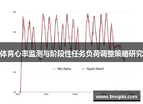 体育心率监测与阶段性任务负荷调整策略研究